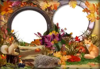 PhotoEffect da categoria Outono № 142362