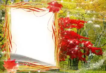 PhotoEffect da categoria Outono № 143481