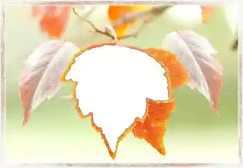 PhotoEffect da categoria Outono № 145072