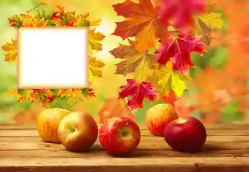 PhotoEffect da categoria Outono № 157134