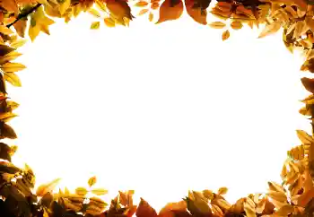 PhotoEffect da categoria Outono № 158309