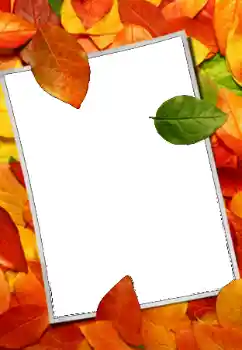 PhotoEffect da categoria Outono № 159508