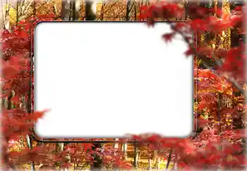 PhotoEffect da categoria Outono № 160546