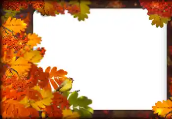 PhotoEffect da categoria Outono № 160787