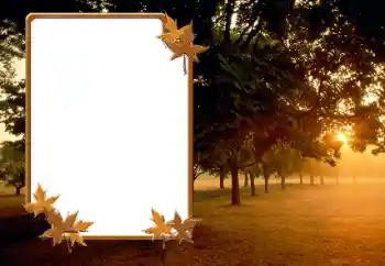 PhotoEffect da categoria Outono № 166423