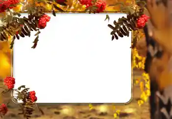 PhotoEffect da categoria Outono № 166546