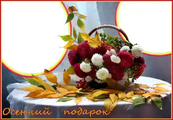 Texto na moldura: Autumn