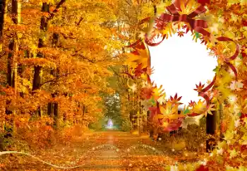 PhotoEffect da categoria Outono № 174120