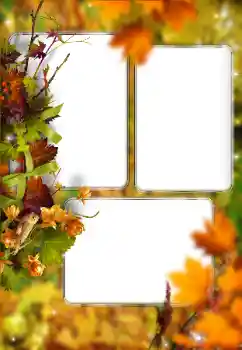 PhotoEffect da categoria Outono № 176614