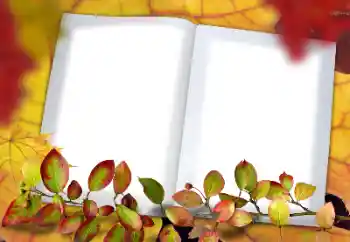 PhotoEffect da categoria Outono № 182190