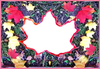 PhotoEffect da categoria Outono № 190569