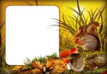 PhotoEffect da categoria Outono № 190592