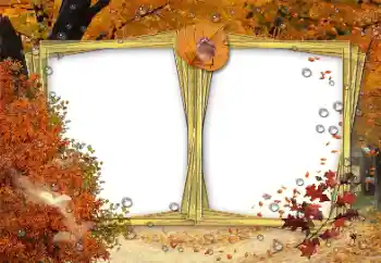 PhotoEffect da categoria Outono № 191691