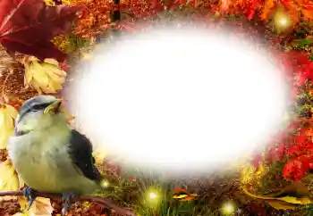 PhotoEffect da categoria Outono № 191761