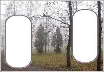 PhotoEffect da categoria Outono № 191770