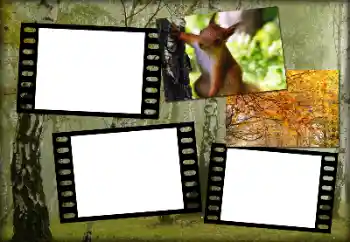 PhotoEffect da categoria Outono № 192848