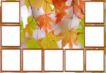 PhotoEffect da categoria Outono № 195267