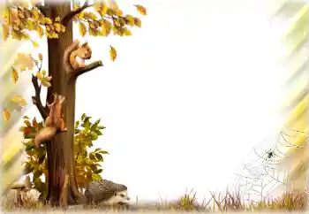 PhotoEffect da categoria Outono № 196642