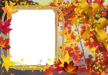PhotoEffect da categoria Outono № 2015