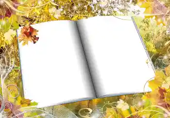 PhotoEffect da categoria Outono № 2016