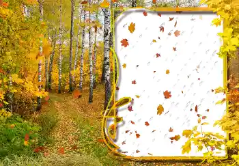 PhotoEffect da categoria Outono № 2029