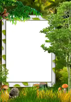 PhotoEffect da categoria Outono № 34731