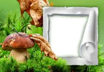 PhotoEffect da categoria Outono № 34933
