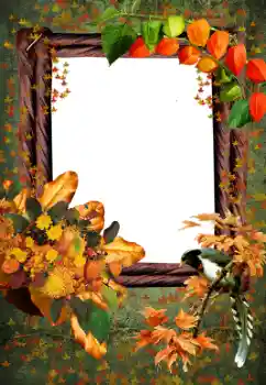PhotoEffect da categoria Outono № 59055