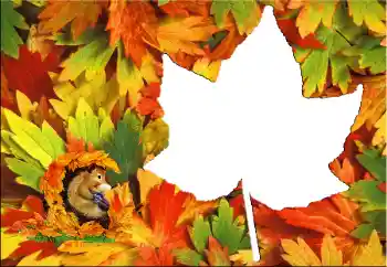 PhotoEffect da categoria Outono № 60345