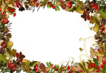 PhotoEffect da categoria Outono № 89438