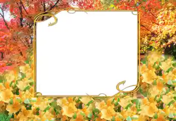 PhotoEffect da categoria Outono № 9797 PhotoEffect da categoria Outono № 9797