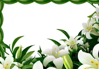 PhotoEffect da categoria Primavera № 113129 PhotoEffect da categoria Primavera № 113129