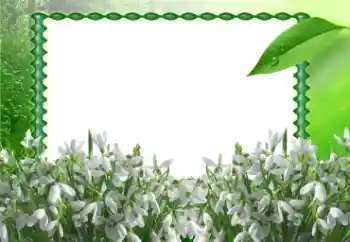 PhotoEffect da categoria Primavera № 11868