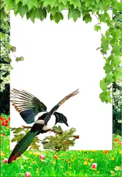 PhotoEffect da categoria Primavera № 147761 PhotoEffect da categoria Primavera № 147761