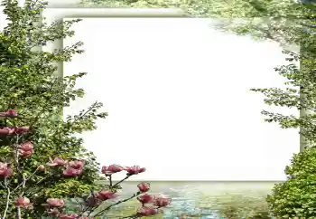 PhotoEffect da categoria Primavera № 149187 PhotoEffect da categoria Primavera № 149187