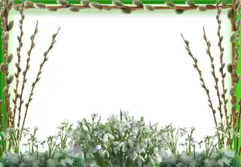 PhotoEffect da categoria Primavera № 197647