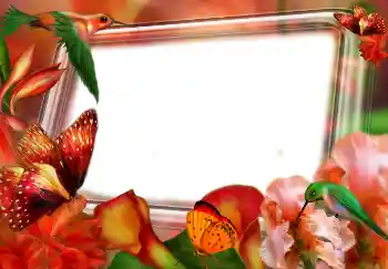 PhotoEffect da categoria Primavera № 4610