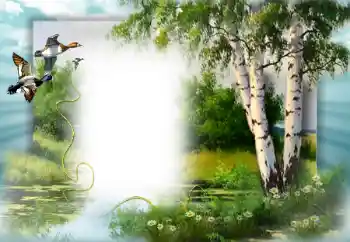 PhotoEffect da categoria Primavera № 49552