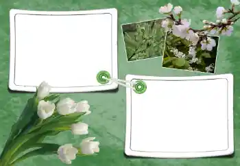 PhotoEffect da categoria Primavera № 93095