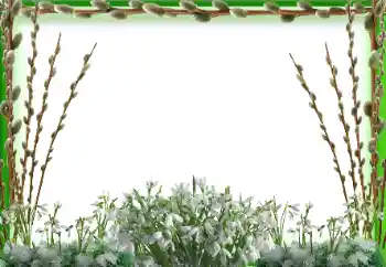 PhotoEffect da categoria Primavera № 94595