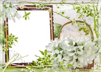 PhotoEffect da categoria Primavera № 980