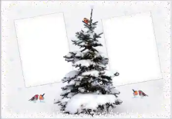 PhotoEffect da categoria Inverno № 105223 PhotoEffect da categoria Inverno № 105223