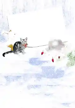 PhotoEffect da categoria Inverno № 105450 PhotoEffect da categoria Inverno № 105450