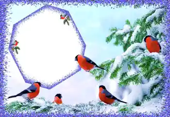 PhotoEffect da categoria Inverno № 105588 PhotoEffect da categoria Inverno № 105588