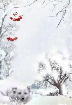 PhotoEffect da categoria Inverno № 111870 PhotoEffect da categoria Inverno № 111870