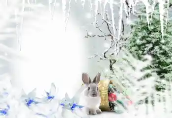 PhotoEffect da categoria Inverno № 128650