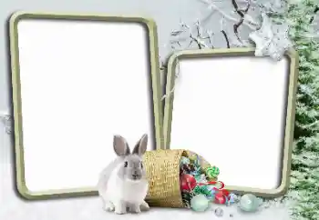 PhotoEffect da categoria Inverno № 148975 PhotoEffect da categoria Inverno № 148975