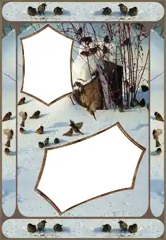 PhotoEffect da categoria Inverno № 151645 PhotoEffect da categoria Inverno № 151645