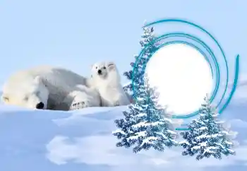 PhotoEffect da categoria Inverno № 163218