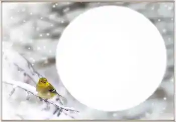 PhotoEffect da categoria Inverno № 163334